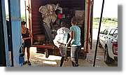 3-Turkana_108.jpg
