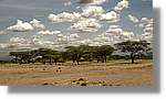 3-Turkana_183.jpg