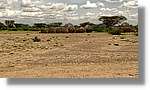 3-Turkana_185.jpg