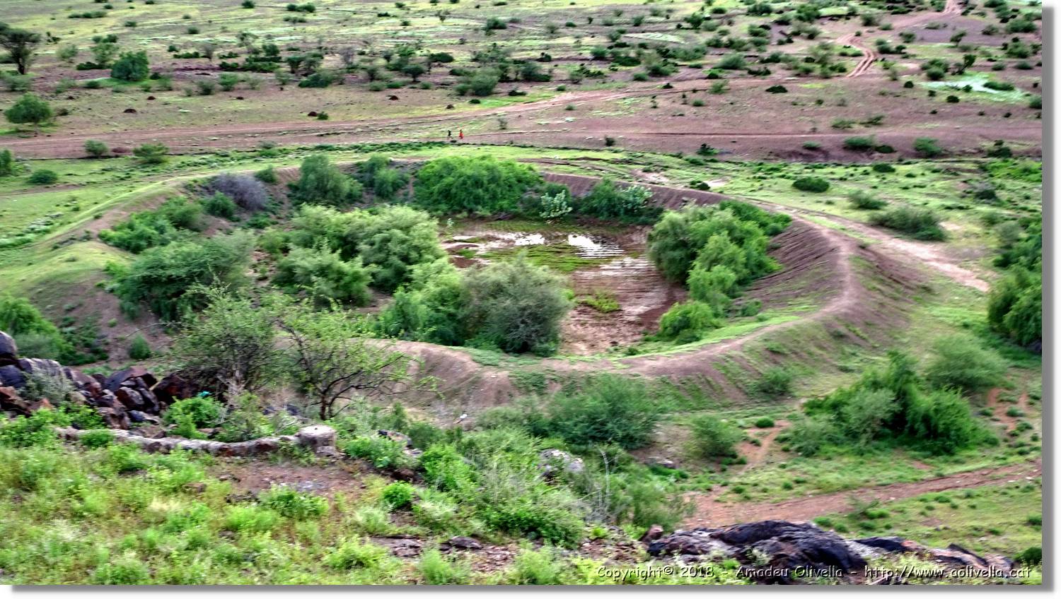 Lobur_166.jpg