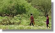 Lobur_125.jpg