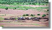 Lobur_175.jpg