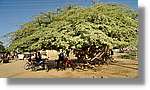 Lodwar_012.jpg