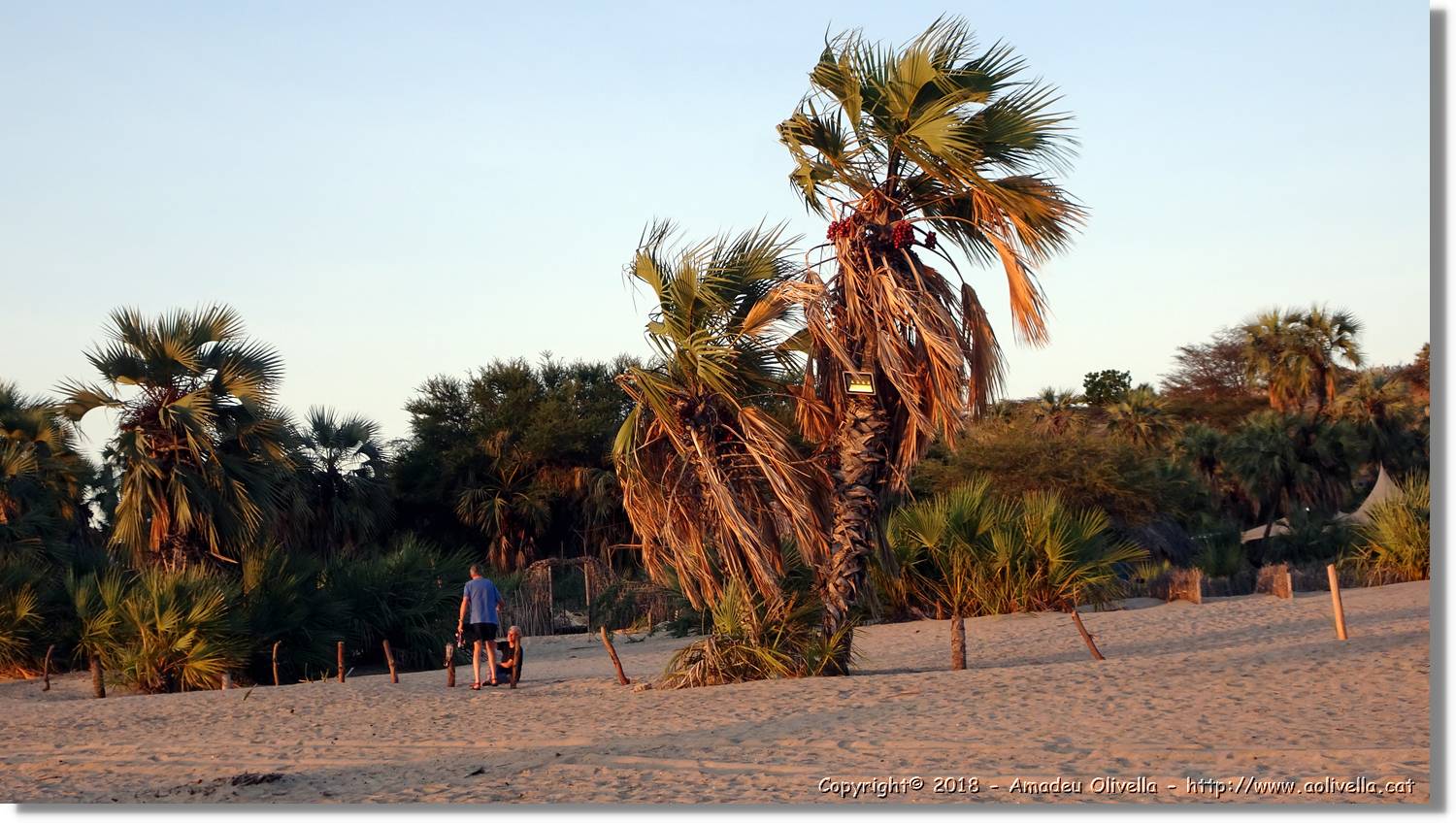 Platja_101.jpg