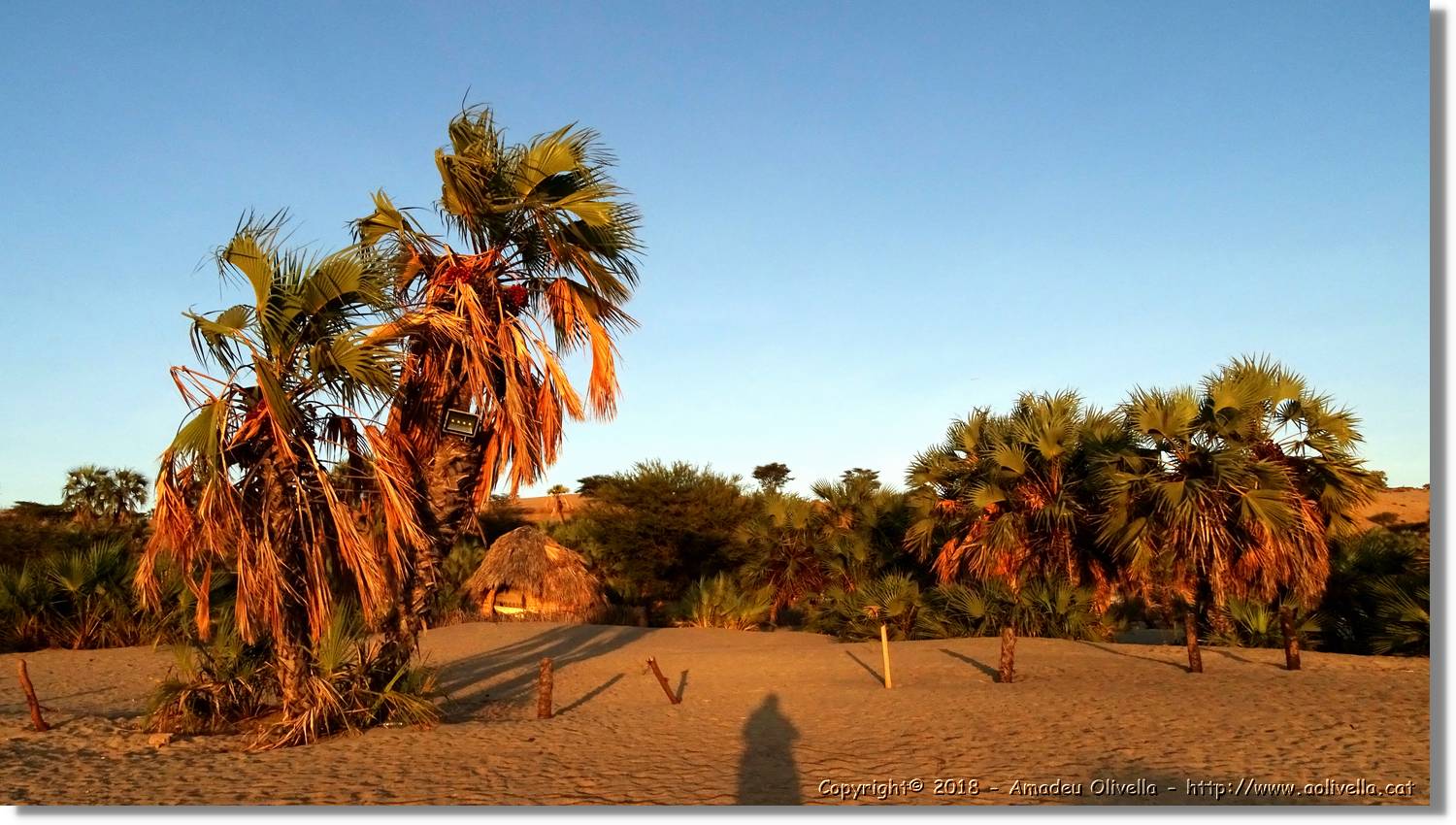 Platja_103.jpg