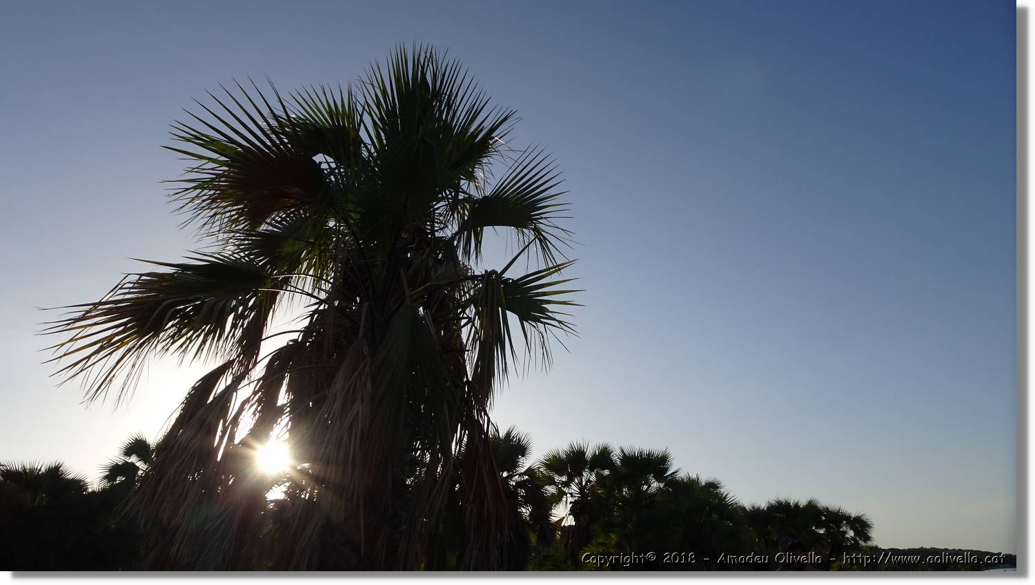 Platja_128.jpg