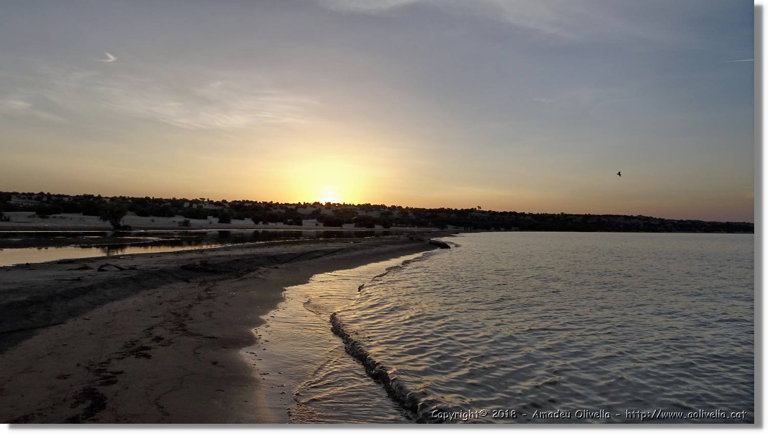 Platja_155.jpg