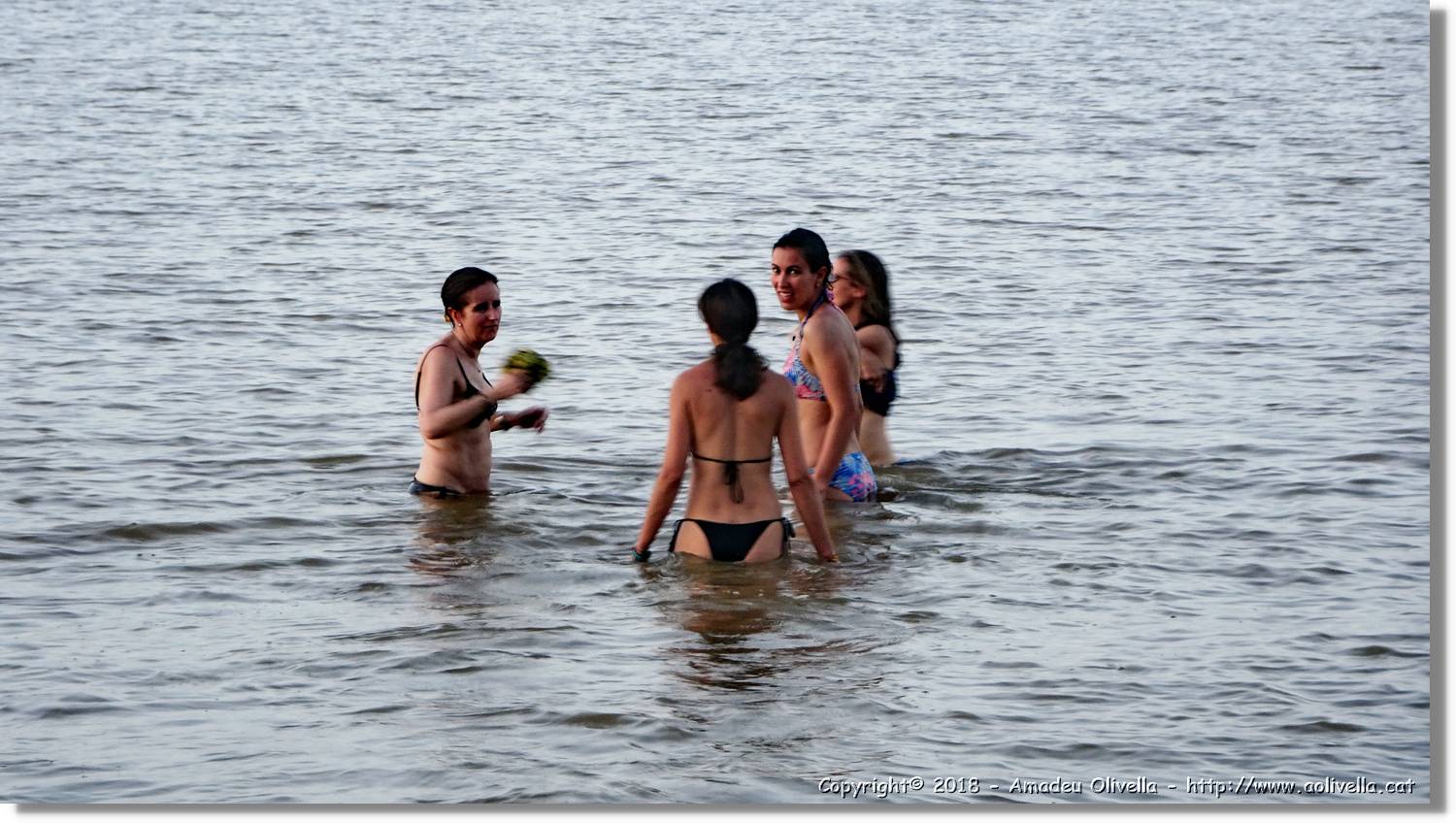 Platja_157.jpg