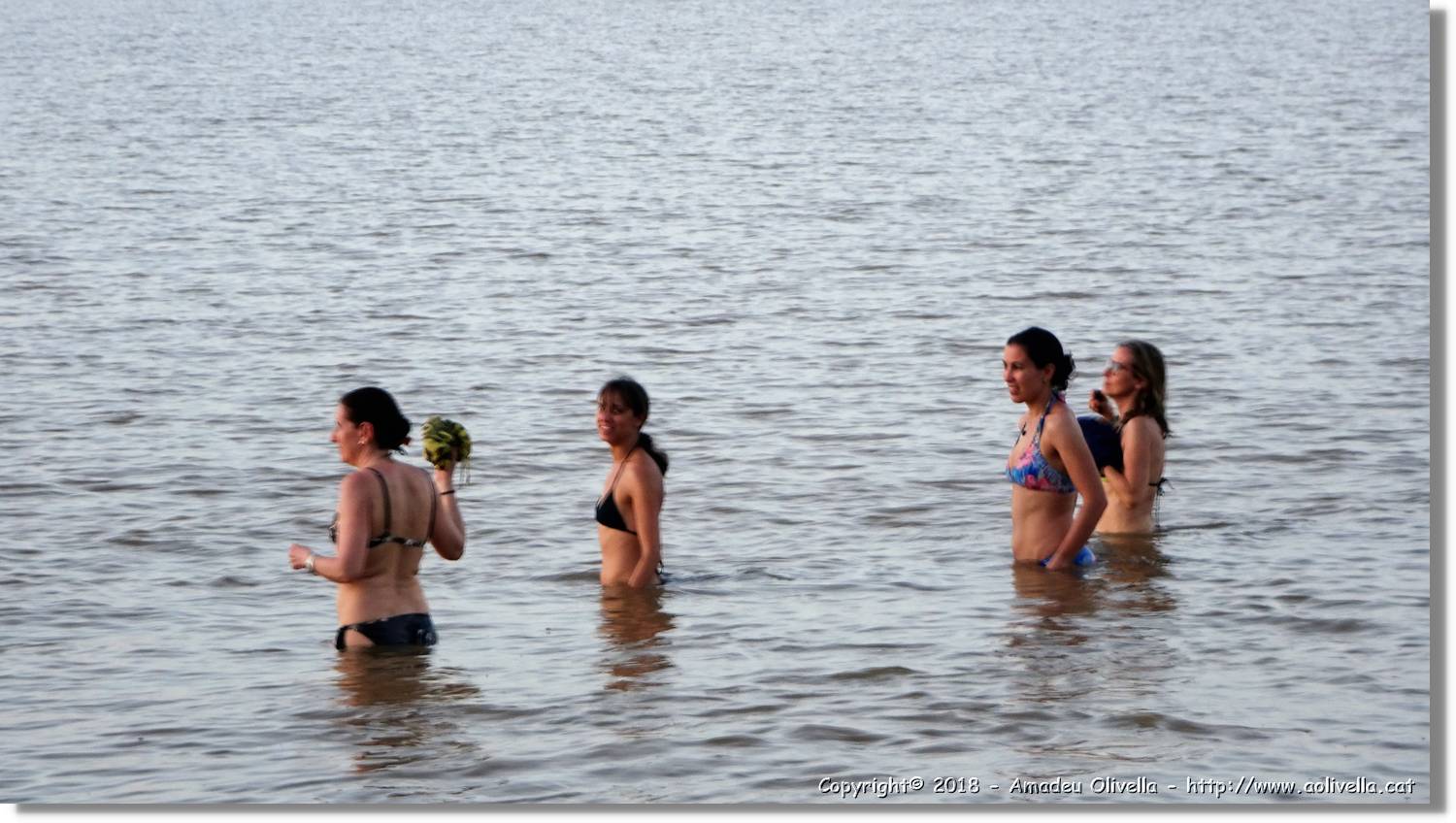Platja_159.jpg