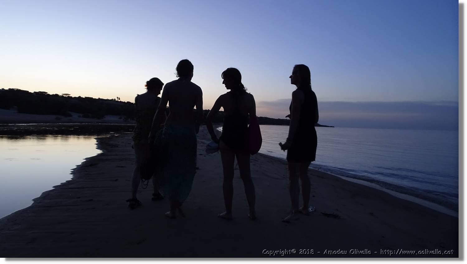 Platja_168.jpg
