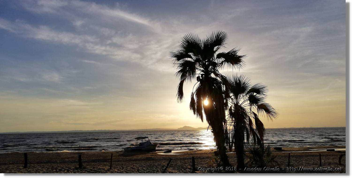 Platja_173.jpg