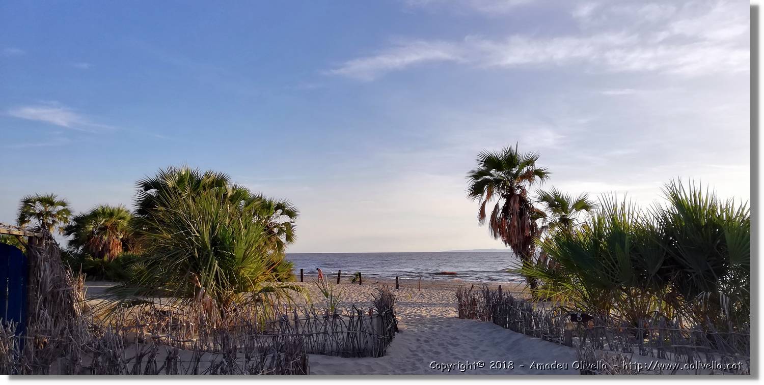 Platja_175.jpg