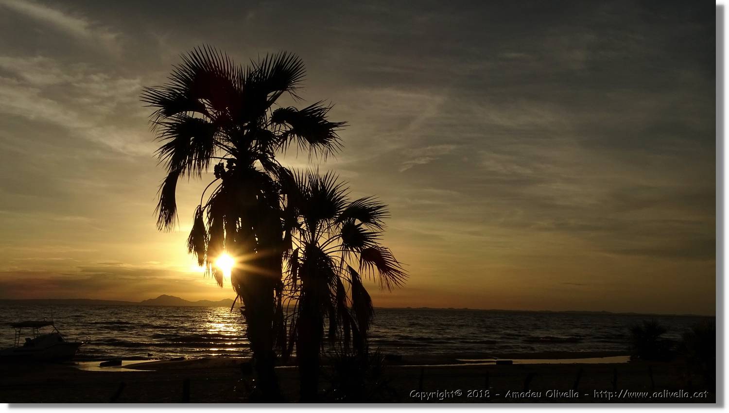 Platja_184.jpg