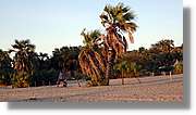 Platja_101.jpg