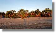 Platja_102.jpg