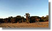 Platja_104.jpg