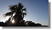 Platja_128.jpg