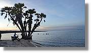 Platja_164.jpg