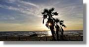 Platja_173.jpg