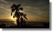 Platja_184.jpg
