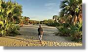 Platja_186.jpg