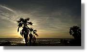 Platja_189.jpg