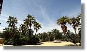 Platja_195.jpg