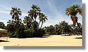 Platja_198.jpg