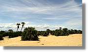 Platja_200.jpg